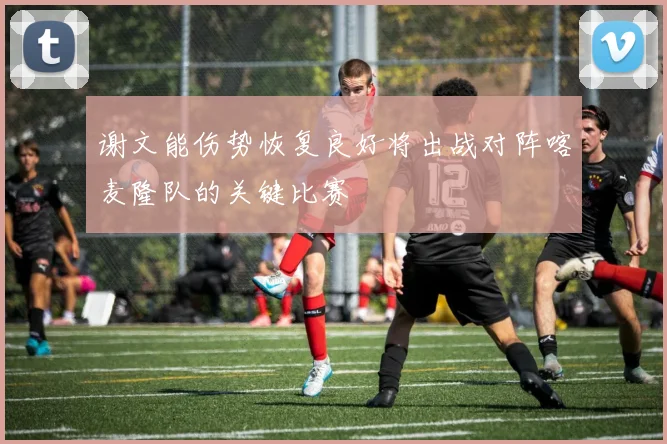 谢文能伤势恢复良好将出战对阵喀麦隆队的关键比赛
